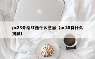 pc28介绍红是什么意思（pc28有什么猫腻）