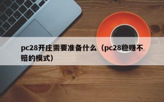 pc28开庄需要准备什么（pc28稳赚不赔的模式）