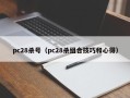 pc28杀号（pc28杀组合技巧和心得）