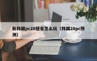 新韩国pc28组合怎么玩（韩国28pc预测）