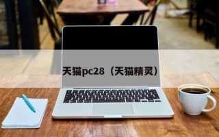 天猫pc28（天猫精灵）