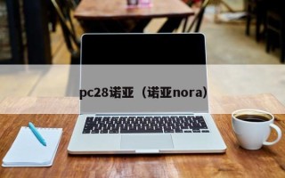 pc28诺亚（诺亚nora）