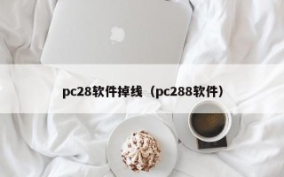 pc28软件掉线（pc288软件）