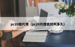 pc28圈代理（pc28代理抓到判多久）