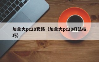 加拿大pc28套路（加拿大pc28打法技巧）