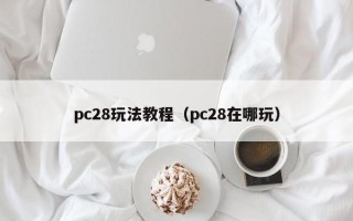 pc28玩法教程（pc28在哪玩）