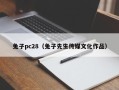 兔子pc28（兔子先生传媒文化作品）