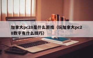 加拿大pc28是什么游戏（玩加拿大pc28数字有什么技巧）