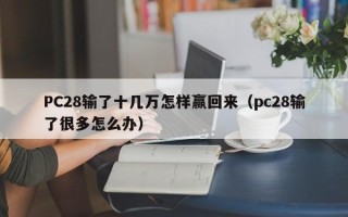 PC28输了十几万怎样赢回来（pc28输了很多怎么办）