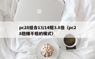 pc28组合13/14赔3.8倍（pc28稳赚不赔的模式）