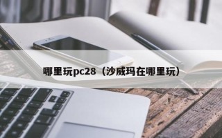 哪里玩pc28（沙威玛在哪里玩）