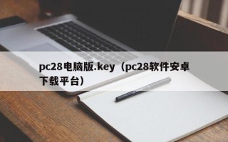 pc28电脑版.key（pc28软件安卓下载平台）