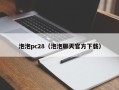 泡泡pc28（泡泡聊天官方下载）