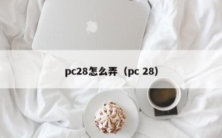 pc28怎么弄（pc 28）