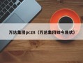 万达集团pc28（万达集团如今现状）