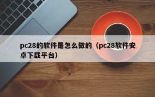 pc28的软件是怎么做的（pc28软件安卓下载平台）