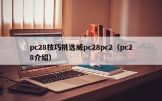 pc28技巧挑选威pc28pc2（pc28介绍）