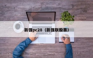 新强pc28（新强联股票）