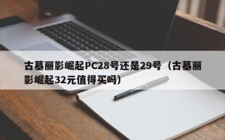 古墓丽影崛起PC28号还是29号（古墓丽影崛起32元值得买吗）