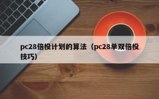 pc28倍投计划的算法（pc28单双倍投技巧）