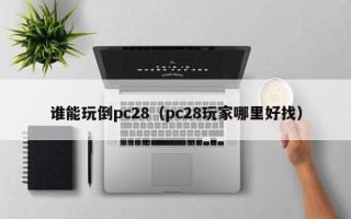 谁能玩倒pc28（pc28玩家哪里好找）