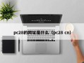 pc28的网址是什么（pc28 cn）