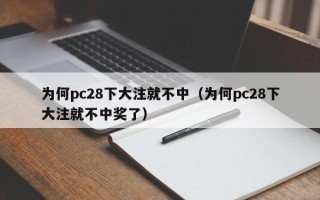 为何pc28下大注就不中（为何pc28下大注就不中奖了）