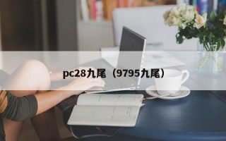 pc28九尾（9795九尾）