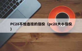 PC28不怕连挂的倍投（pc28大小倍投）