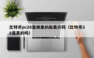 比特币pc28是哪里的股票代码（比特币28是真的吗）