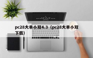 pc28大单小双4.3（pc28大单小双下载）