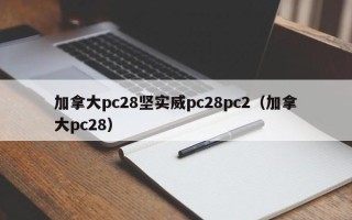 加拿大pc28坚实威pc28pc2（加拿大pc28）