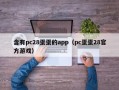 含有pc28蛋蛋的app（pc蛋蛋28官方游戏）