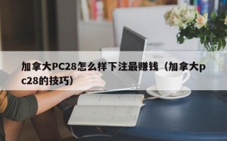 加拿大PC28怎么样下注最赚钱（加拿大pc28的技巧）