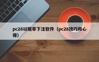 pc28以赔率下注软件（pc28技巧和心得）