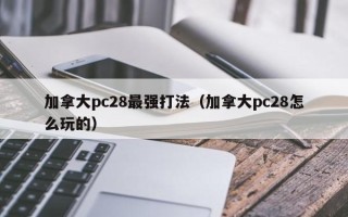 加拿大pc28最强打法（加拿大pc28怎么玩的）