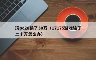 玩pc28输了30万（17175游戏输了二十万怎么办）