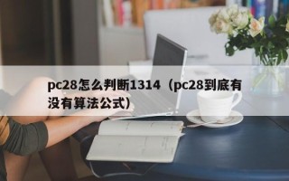 pc28怎么判断1314（pc28到底有没有算法公式）