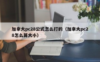 加拿大pc28公式怎么打的（加拿大pc28怎么算大小）