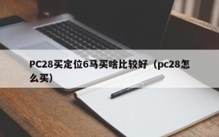 PC28买定位6马买啥比较好（pc28怎么买）