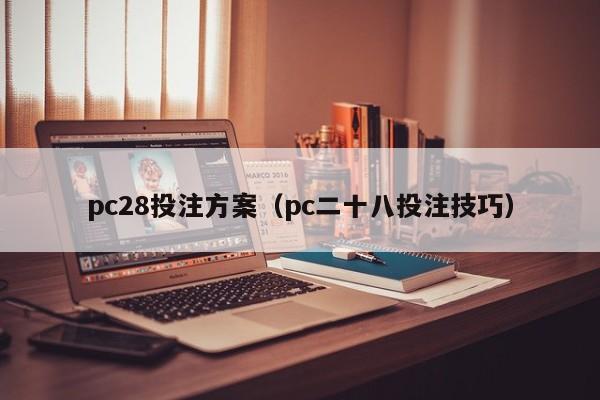 pc28投注方案（pc二十八投注技巧）-第1张图片-pc28