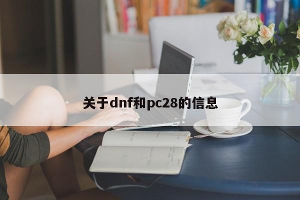 关于dnf和pc28的信息-第1张图片-pc28