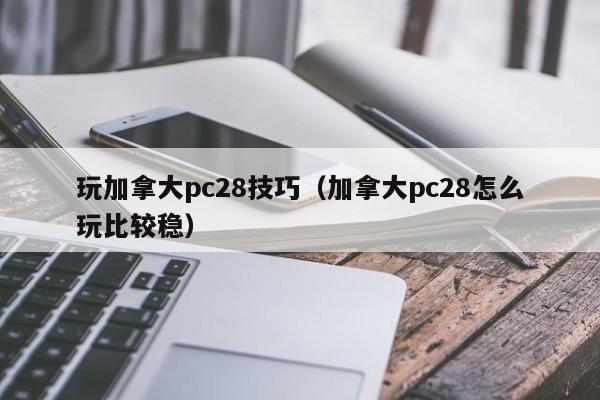 玩加拿大pc28技巧（加拿大pc28怎么玩比较稳）-第1张图片-pc28