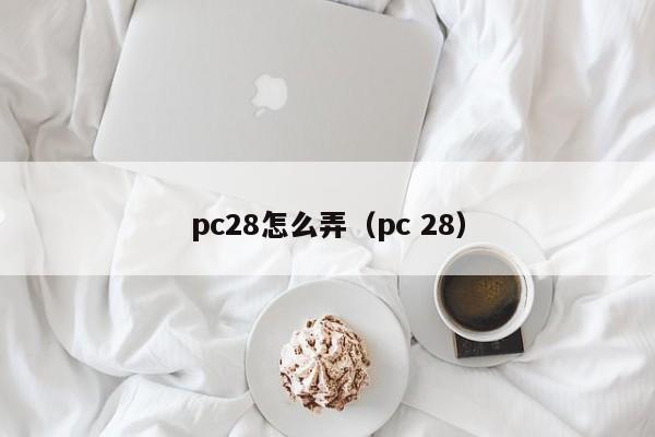 pc28怎么弄（pc 28）-第1张图片-pc28