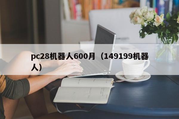 pc28机器人600月（149199机器人）-第1张图片-pc28