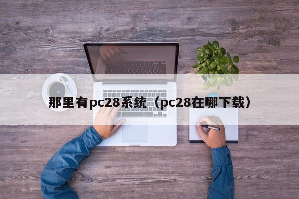 那里有pc28系统（pc28在哪下载）-第1张图片-pc28