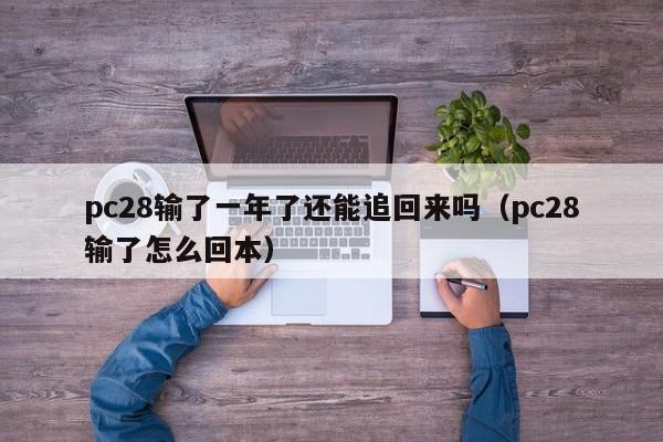 pc28输了一年了还能追回来吗（pc28输了怎么回本）-第1张图片-pc28