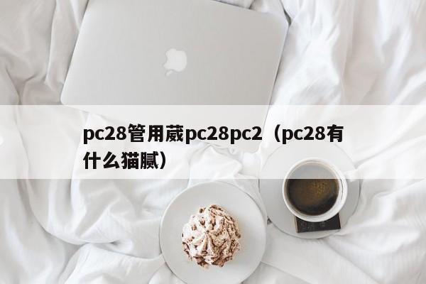 pc28管用葳pc28pc2（pc28有什么猫腻）-第1张图片-pc28