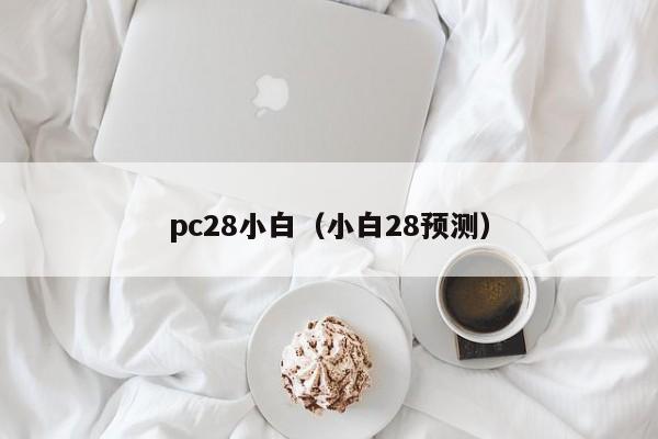 pc28小白（小白28预测）-第1张图片-pc28