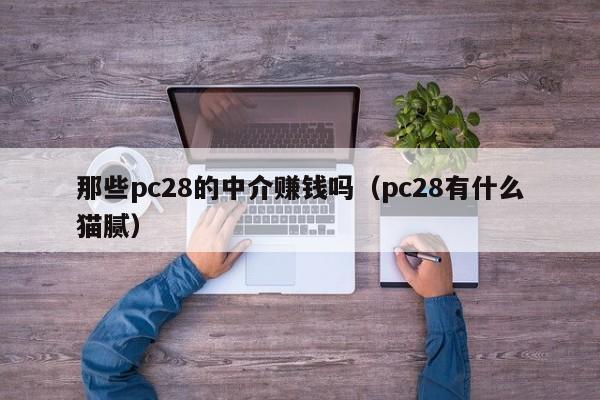 那些pc28的中介赚钱吗（pc28有什么猫腻）-第1张图片-pc28